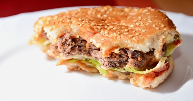 Closeup of Homemade Ordinary Hamburger with a Bites Missing. Typical Unhealthy Food.