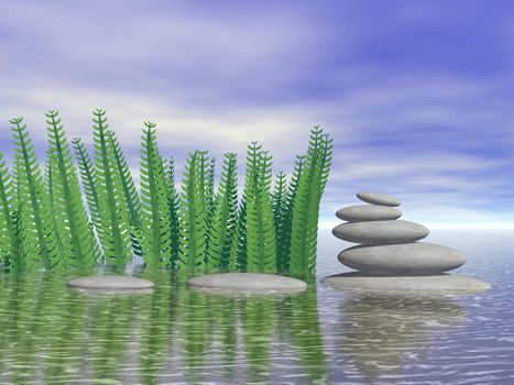 Beautiful zen landscape in the middle of aquatic herbs - 3D rendering