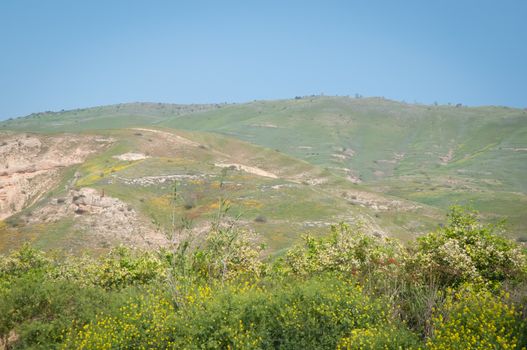 Spring in mountains in the North of Israel .