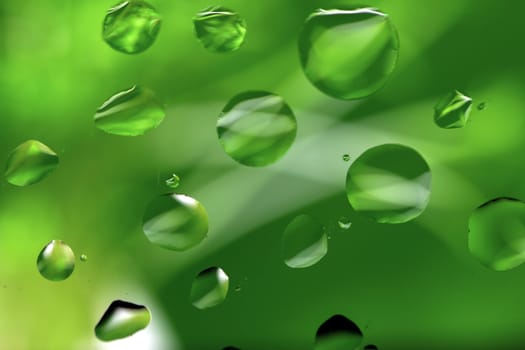 Abstract Background with Oil Drops on Green