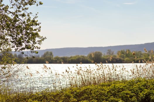 View of the lake of Madine in the department of the Meuse in france