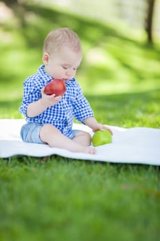 Mixed Race Infant Baby Boy Sitting on Blanket Comparing Apples to Apples Outside At The Park