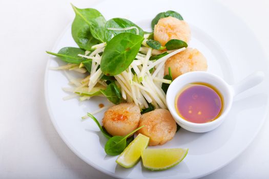 Scallop Salad with greenery served on a white plate