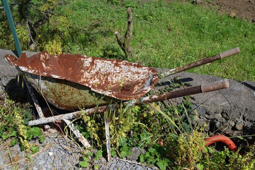 old broken and rusty wheelbarrow abandoned on a lawn