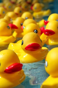 Abstract Rubber Dock Toys Floating in Water