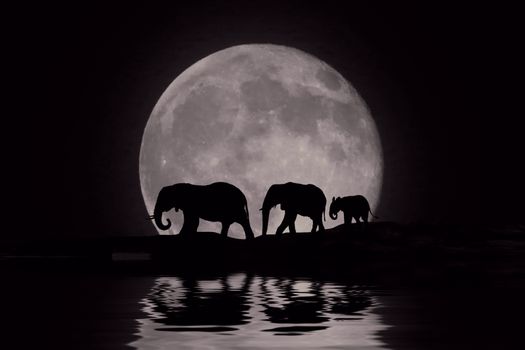 Silhouette of African Elephants at Moon Rise