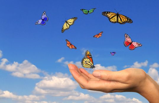 Hand Holding Released Buttterflies Against a Sky Background