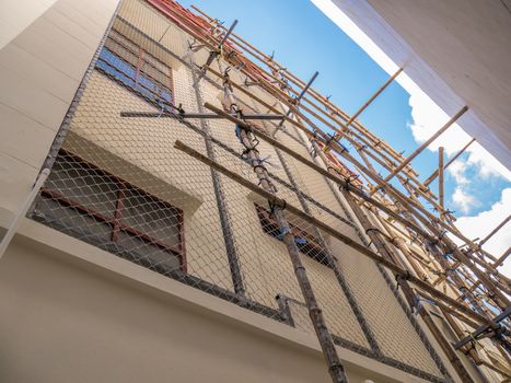 The house installs a metal mesh to protect the birds from nesting