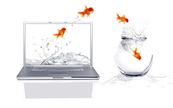 Jumping from the virtual world to the real world: Goldfish Escape