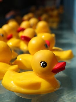 Rubber Duckies Floating in a Carnival Game Outdoors