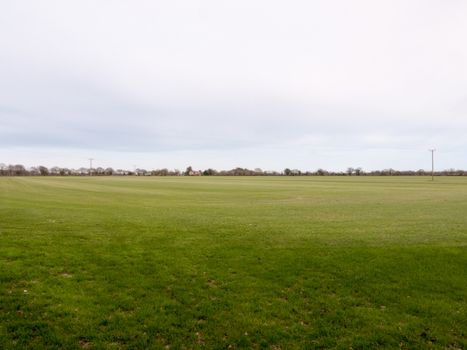 A field of cut grass with a white sky
