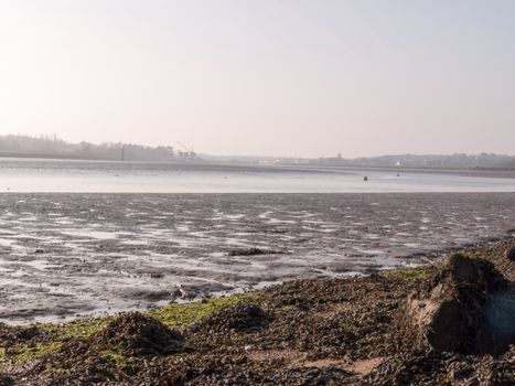 Various shots of the river and the mud, along with many birds, buoys, and other sea structures, as the sun sets