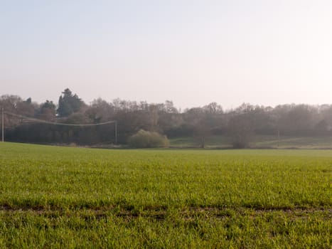 Farming fields with grass, being plowed and seeded