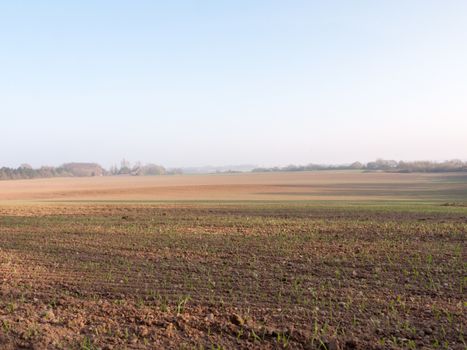 Arid bits of land with crops just starting to bud