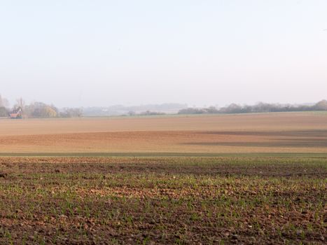 Arid bits of land with crops just starting to bud