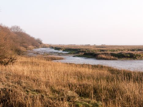 Various shots of the river and the mud, along with many birds, buoys, and other sea structures, as the sun sets