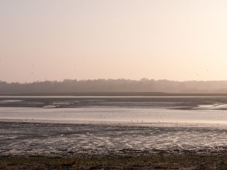 Various shots of the river and the mud, along with many birds, buoys, and other sea structures, as the sun sets