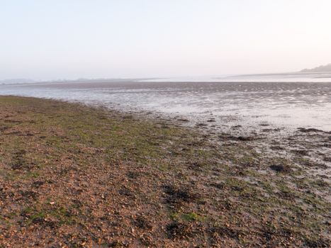 Various shots of the river and the mud, along with many birds, buoys, and other sea structures, as the sun sets