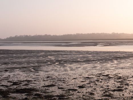 Various shots of the river and the mud, along with many birds, buoys, and other sea structures, as the sun sets