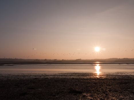 Various shots of the river and the mud, along with many birds, buoys, and other sea structures, as the sun sets