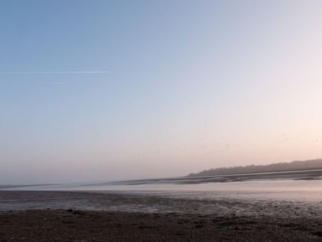 Various shots of the river and the mud, along with many birds, buoys, and other sea structures, as the sun sets