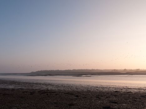 Various shots of the river and the mud, along with many birds, buoys, and other sea structures, as the sun sets