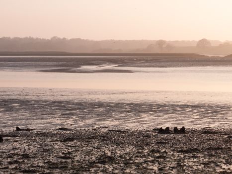 Various shots of the river and the mud, along with many birds, buoys, and other sea structures, as the sun sets