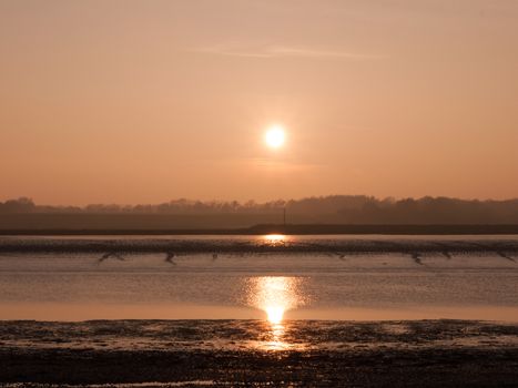 Various shots of the river and the mud, along with many birds, buoys, and other sea structures, as the sun sets