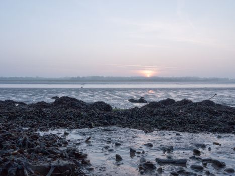 Various shots of the river and the mud, along with many birds, buoys, and other sea structures, as the sun sets