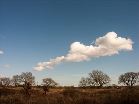 Some white crips clouds hanging over a field on a sunny day