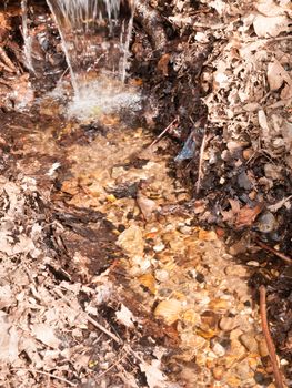 A Stream Running Down Through Colourful Pebbles and with Dead Leaves at the Side Splashing and Fresh Paradise with Lush Atmosphere