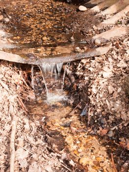 A Stream Running Down Through Colourful Pebbles and with Dead Leaves at the Side Splashing and Fresh Paradise with Lush Atmosphere Coming out of a Metal Tunnel in Sunlight