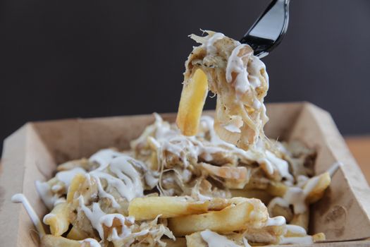 Poutine fries with meat and cheese

