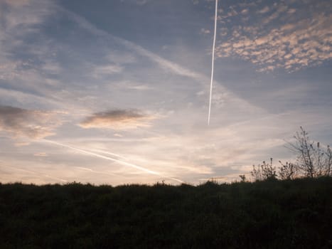 Silhouette of Reeds And Grass in the Sunset Sky with Streaks of White and Clouds and Blue Tones, stunning and moving and mysterious