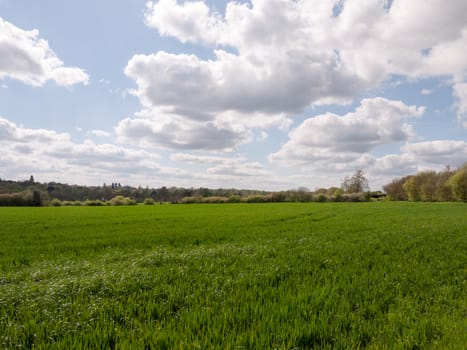 A Lovely Lush Meadow on A Clear Sping Day with Beautiful Clouds and Farm Fields of Plenty of Green Grass and open Space, Freedom and Happiness, and Wellbeing, nobody around, at peace and in heaven