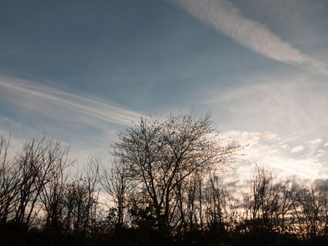 Sunsetting Over a Silhouette of Houses and Trees