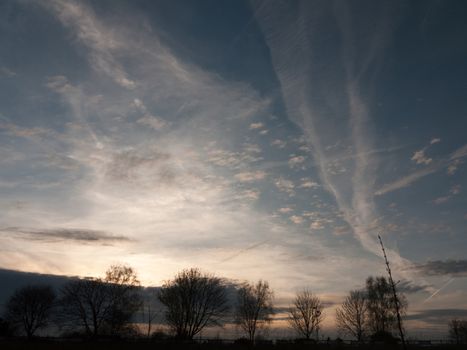 Sunsetting Over a Silhouette of Houses and Trees