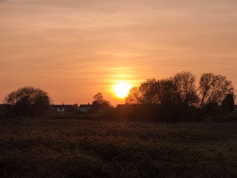 A setting sun over a field with tree tops