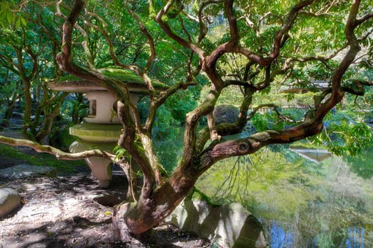 Stone Lantern by the Upper Pond at Portland Japanese Garden