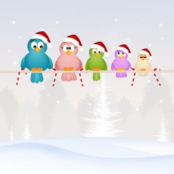 illustration of birds family at Christmas