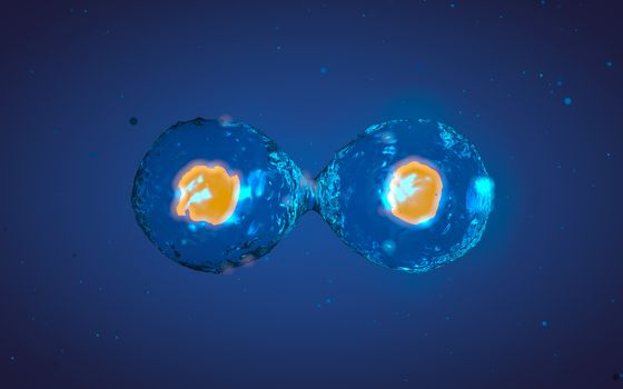 Abstract medical 3D illustration of a cell division process. Yellow core inside liquid transparent shell on blue background with microscopic particles