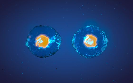 Abstract medical 3D illustration of a cell division process. Yellow core inside liquid transparent shell on blue background with microscopic particles