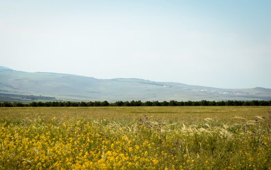 View from Galilee Mountains near Galilee Sea - Kinneret, Israel.