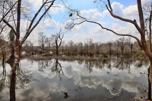 Lake with reflections of clouds. Cambodia