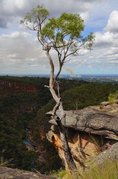 Views along Glenbrook Gorge with Glenbrook creek below.  Penrith Valley and greater Sydney beyond. Many bushwalks take you down into the gorge and along the creek beds until you reach the Nepean  River.