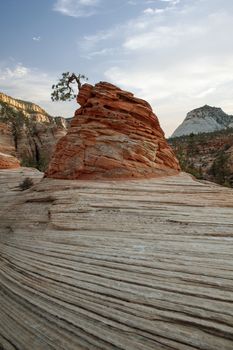 view of nice giant rock in Zion  national park