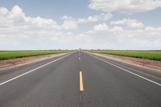 panoramic  view of nice summer empty road  and green valley