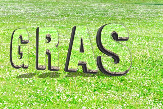 The word grass in green grass structure in 3D with shadows on a summer meadow as background.