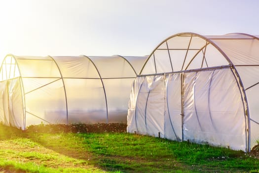 Sunset on outside view of greenhouse