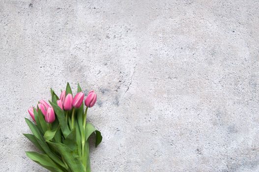 Pink tulips on shabby concrete backdrop 